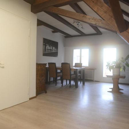 Appartements Am Bodensee Naehe Konstanz Ermatingen Kültér fotó